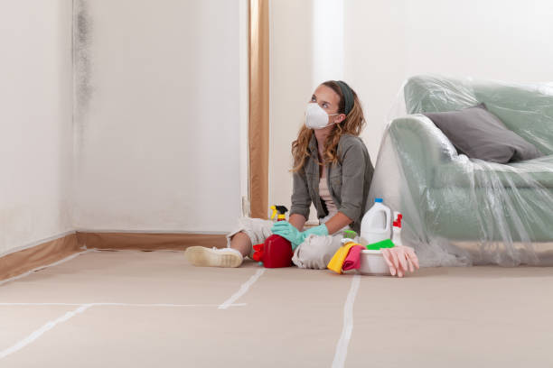 Reliable Commercial Mold Remediation contractor in Summit, IL by WQB Mold Removal